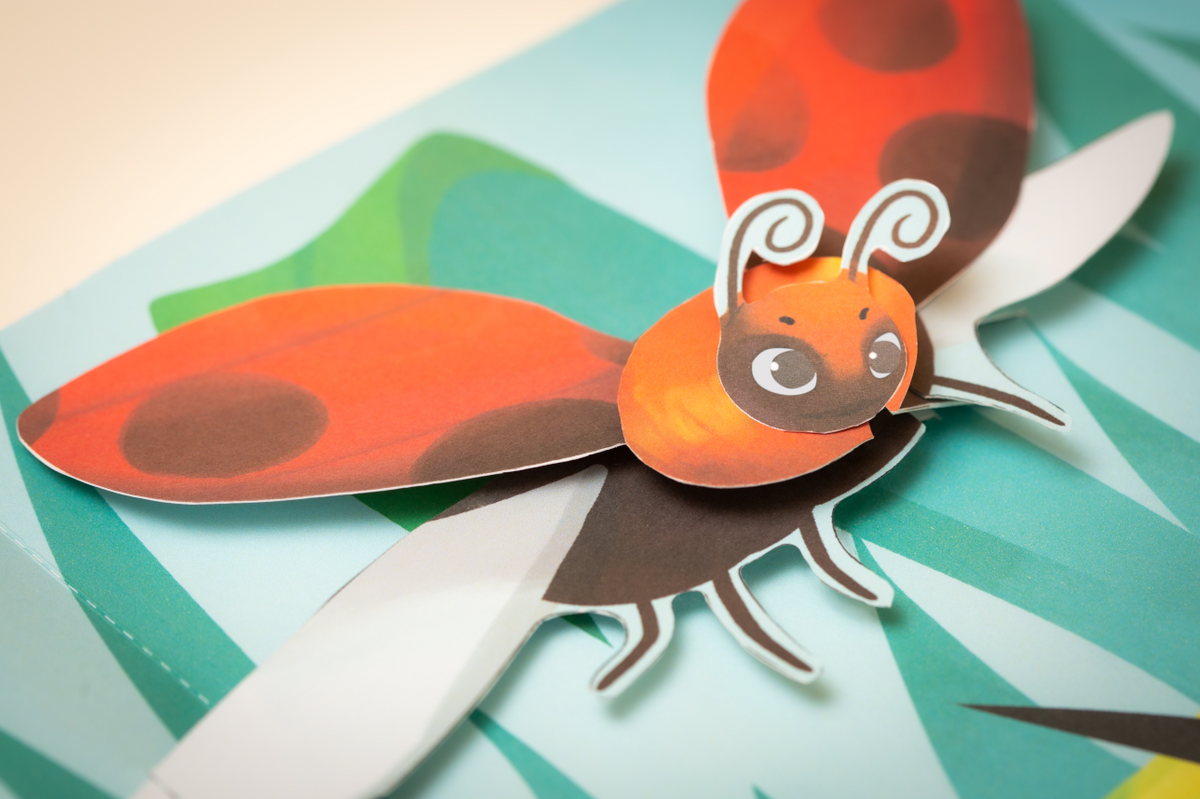 Detail of children pop up book Dandeliophone with Ladybug